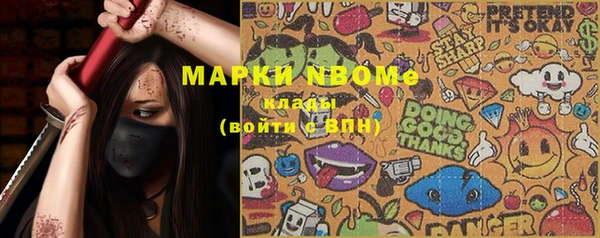 шишки Алексин