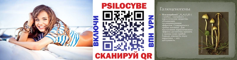 Галлюциногенные грибы Psilocybine cubensis  даркнет сайт  Лукоянов 
